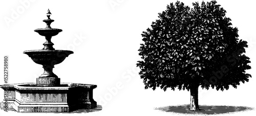 Georgian formal garden elements: engraved illustrations of classical fountain and tree