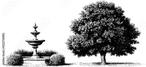 Georgian formal garden illustration featuring fountain and tree for classic design