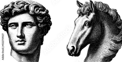 Engraved greek classical busts set featuring human and horse heads for artistic design