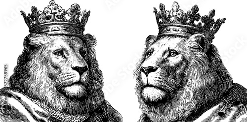 Engraved illustration of majestic lions with regal crowns for design and decor