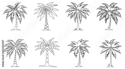 Outline palm tree vector set featuring detailed tropical coconut trees with sketchy
