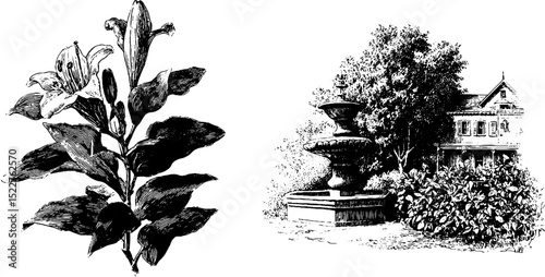 Engraved illustration of queen anne mansion and botanical elements for historical design and decor