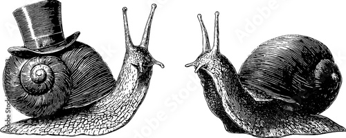 Whimsical snail engraving set with tiny top hat design for posters and cards