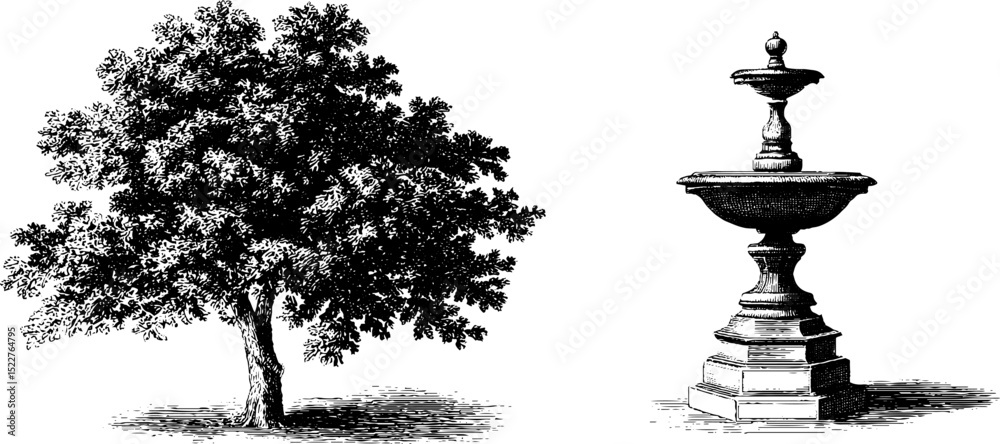 Obraz premium Tudor herb garden elements: engraved tree and fountain illustration for historical design