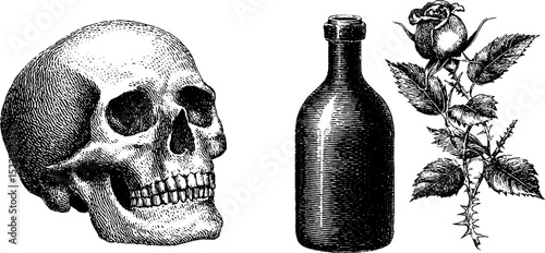 Engraved gothic skull and thorned rose design with vintage bottle for decorative art