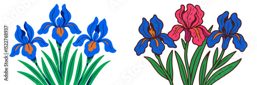 Colorful floral illustration featuring blue and pink irises with green leaves in vibrant detail