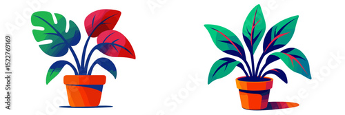 Colorful houseplants in decorative pots showcasing vibrant leaves in a bright setting