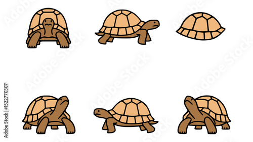 Collection of illustration showing diverse angles of turtles