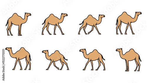Eight camels in different poses, simple line art style.