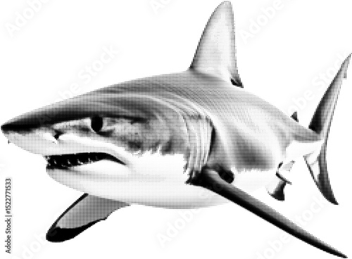 Swimming shark. High quality vector halftone effect. Objects on transparent background. Based on AI generated image 