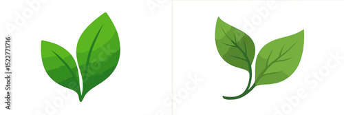 Green leaves illustrated depicting nature's beauty and freshness in a minimalist style suitable for various design projects