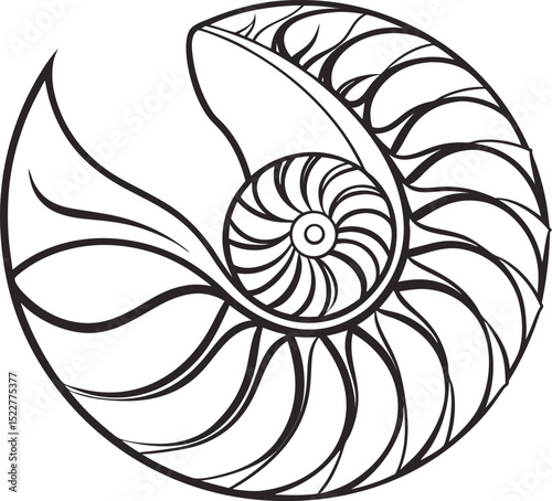 Abstract fractal spiral pattern reminiscent of a nautilus shell