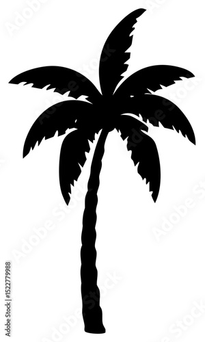 Palm tree silhouettes. black palm tree shapes isolated vector on transparent background.
