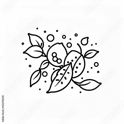 果実と葉の線画構成｜Fruit and Leaves Line Art Composition