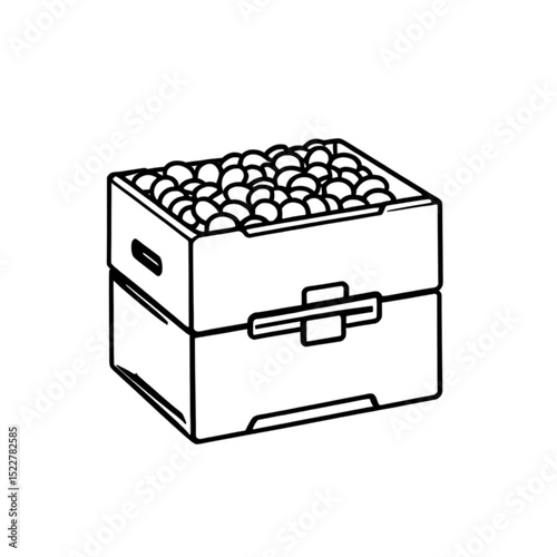 果実入りの木箱イラスト｜Crate Filled with Fruits Illustration
