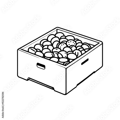果実入りの木箱イラスト｜Crate Filled with Fruits Illustration