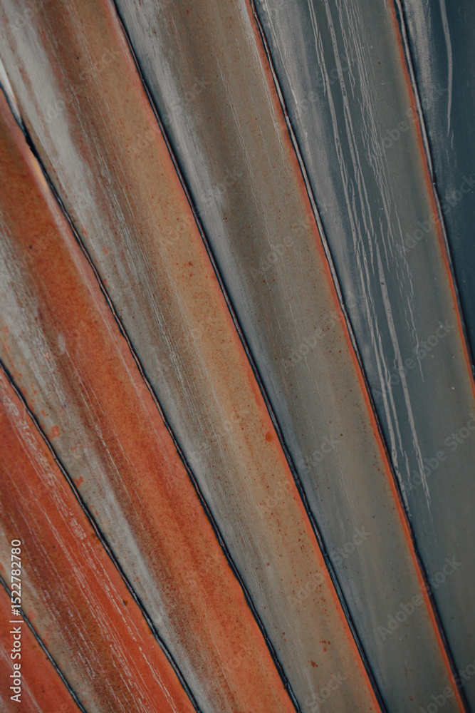 Obraz premium Close-up view reveals the detailed patterns and textures of a palm