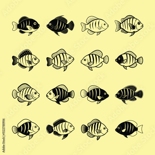 Severum Cichlid, aquarium fish line art illustration
