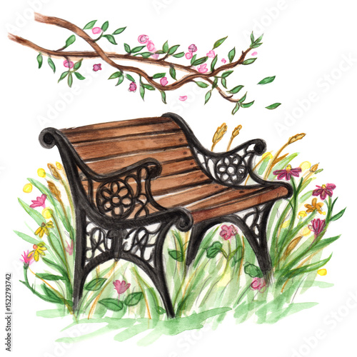bench in the park photo