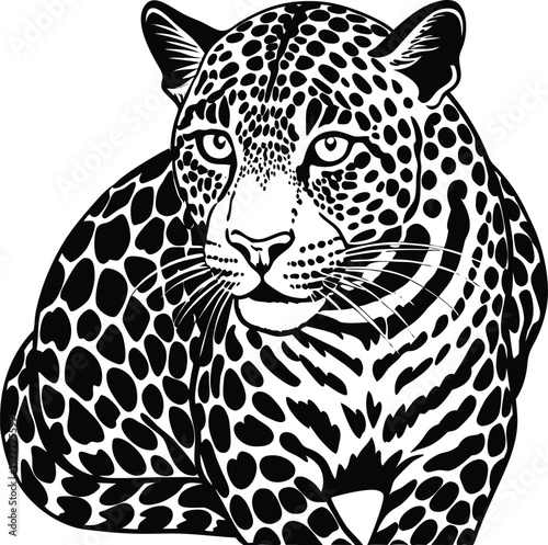 Black and White Leopard Head Vector Illustration