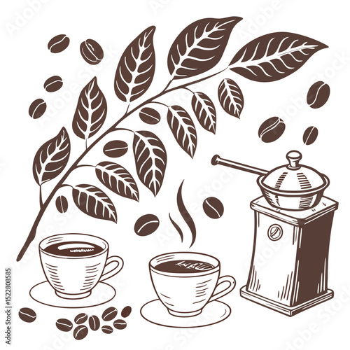 Illustration of coffee beans, leaves, coffee cups, and a coffee grinder in a detailed line drawing