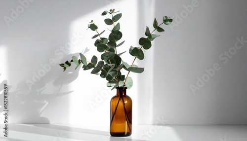 the image depicts a minimal still life with a plant in a bottle. the plant, featuring round leaves, is placed inside a brown glass bottle with a narrow neck
