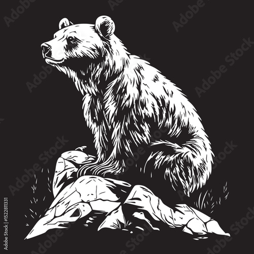 animal, mammal, sketch, cat, vector, pet, drawing, wildlife, dog, nature, fur, hand drawn, illustration, wild, cute, isolated, black, head, tail, domestic animal, bear, white, kitten, isolated on whit