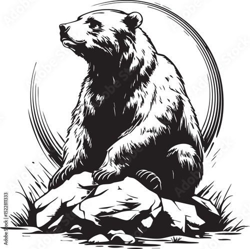 animal, mammal, sketch, cat, vector, pet, drawing, wildlife, dog, nature, fur, hand drawn, illustration, wild, cute, isolated, black, head, tail, domestic animal, bear, white, kitten, isolated on whit