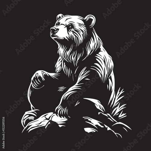 animal, mammal, sketch, cat, vector, pet, drawing, wildlife, dog, nature, fur, hand drawn, illustration, wild, cute, isolated, black, head, tail, domestic animal, bear, white, kitten, isolated on whit