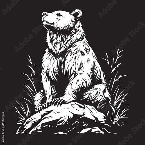 animal, mammal, sketch, cat, vector, pet, drawing, wildlife, dog, nature, fur, hand drawn, illustration, wild, cute, isolated, black, head, tail, domestic animal, bear, white, kitten, isolated on whit