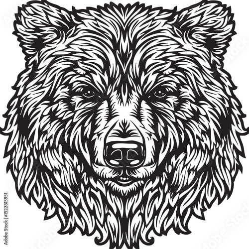 animal, sketch, mammal, vector, wildlife, nature, dog, illustration, drawing, pet, bear, black, fur, shaggy, white, hand drawn, wild, isolated, tail, head, isolated on white, cat, cute, predator, art