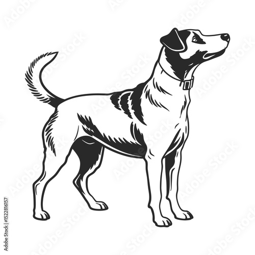 dog standing profile silhouette black and white photo