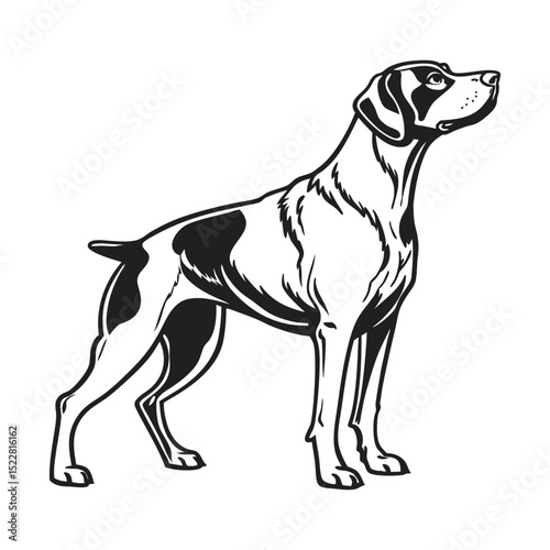 dog standing profile silhouette black and white photo