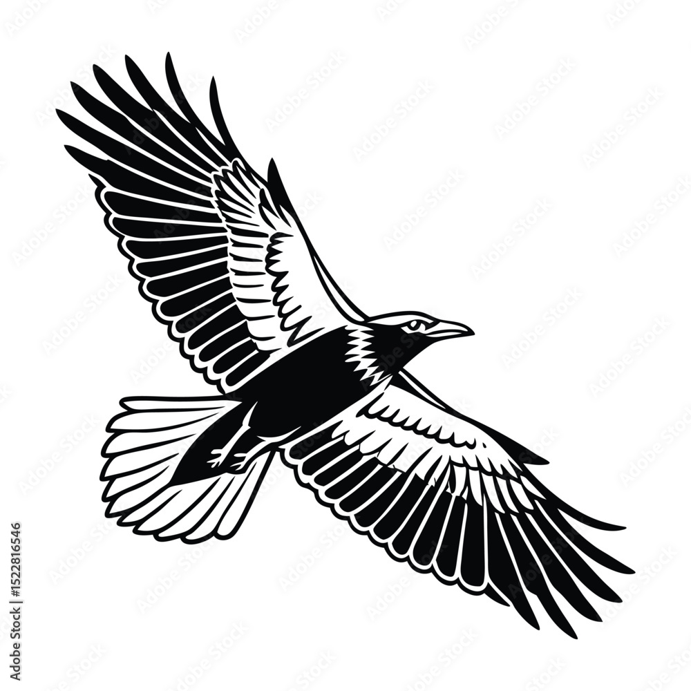 Obraz premium flying bird wings spread silhouette black and white