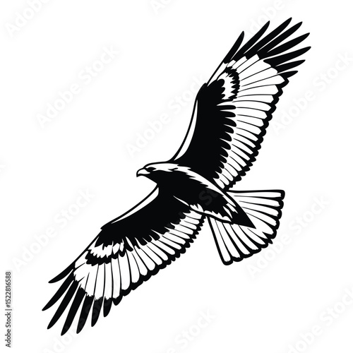 flying bird wings spread silhouette black and white