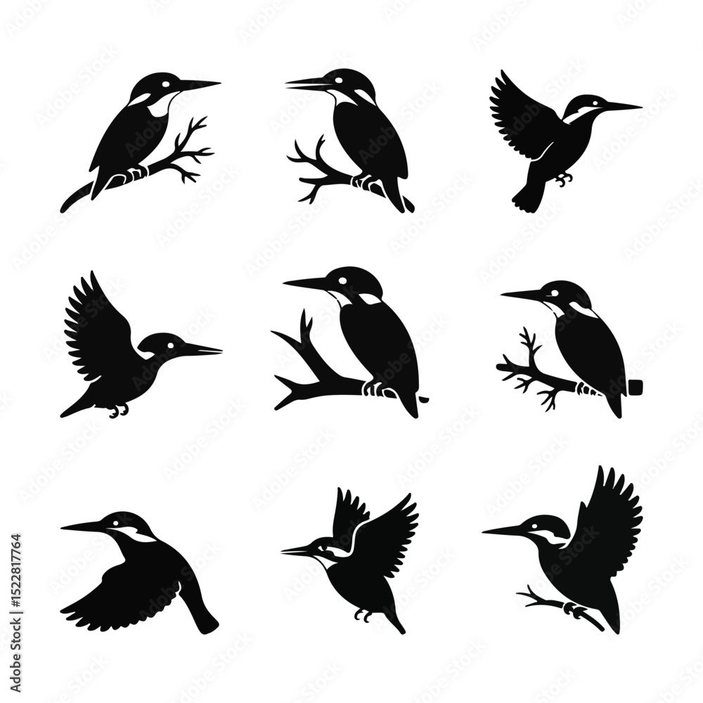Kingfisher Silhouette Vector Set, Bird Illustrations on Branches, Wildlife Art, Isolated Kingfisher Silhouette Vector Set, Bird Illustrations on Branches, Wildlife Art, Isolated