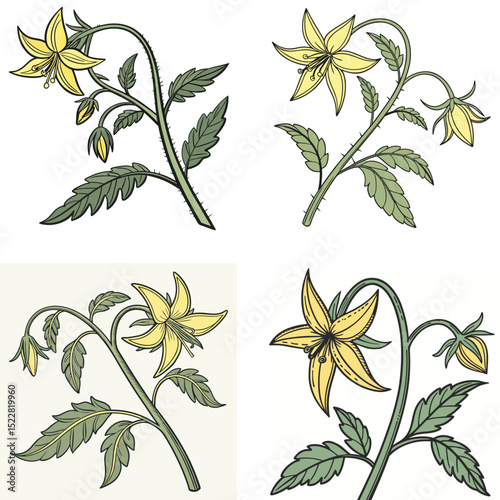 A small tomato flower icon with a star-shaped yellow bloom.