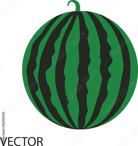Watermelon vector, Watermelon slice vector icon, Watermelon summer fruit clipart set. Tropical fruit watermelon drawing vector illustration  on white background 
