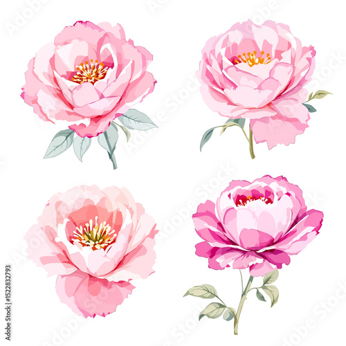 floral arrangement, round bouquet, flowers design elements, watercolor clip art isolated on white background