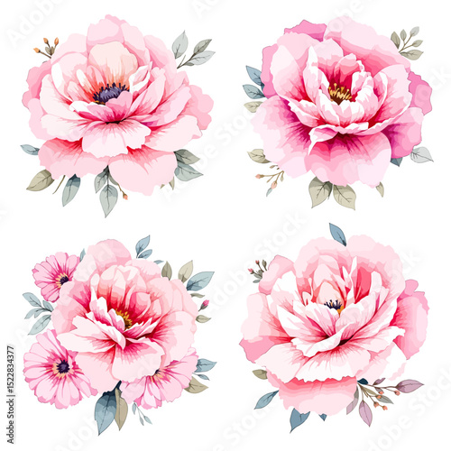 Pink peony blooming in a spring garden surrounded by green leaves and white flowers