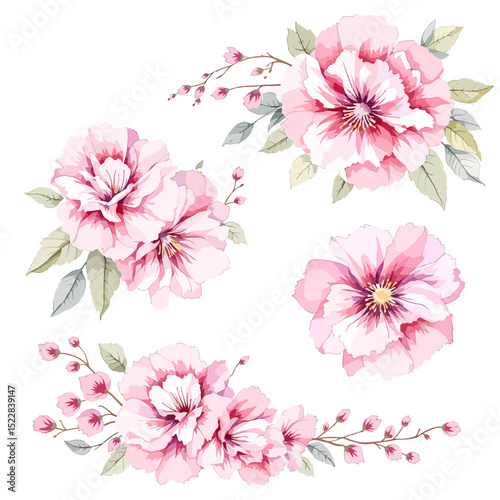 Watercolor wildflower set with daisies, forget-me-nots, cornflowers, poppies, bellflowers, and clover in botanical illustration