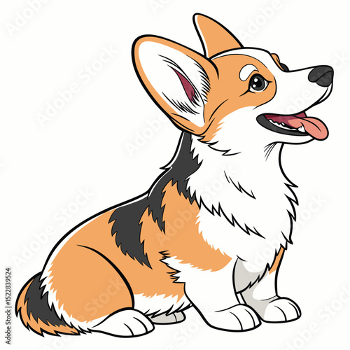 Adorable pembroke welsh corgi puppy sitting whimsical pet portrait dog cute pose white animal fluffy
