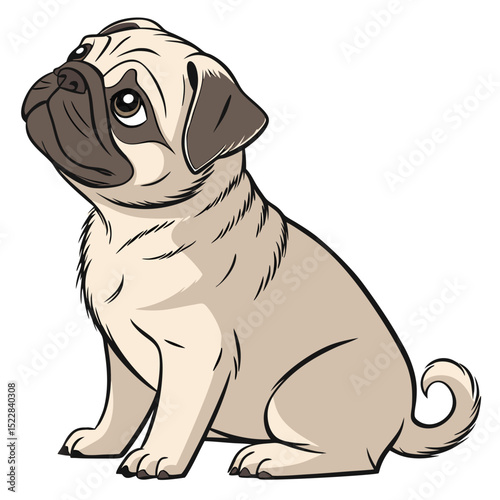 Adorable fawn pug puppy sitting cute dog photo pet pose brown animal canine cute dog puppy dog