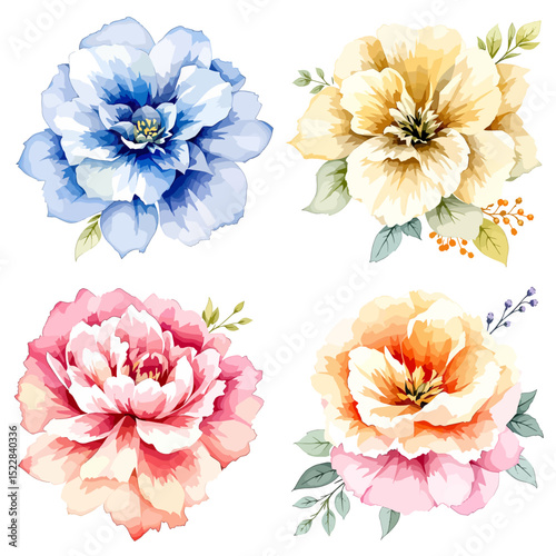 Wild flowers set, watercolor digital illustration.	