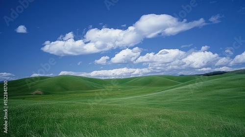 Enchanting Scenery of Lush Green Grassland under a Vast Blue Sky with Floating White Clouds: A Serene Natural Tapestry