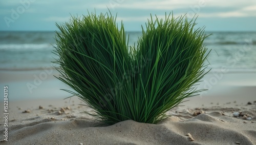 Green heart made of grass on the beach with sand background and copy space, symbol of love, beautiful beach concept. photo