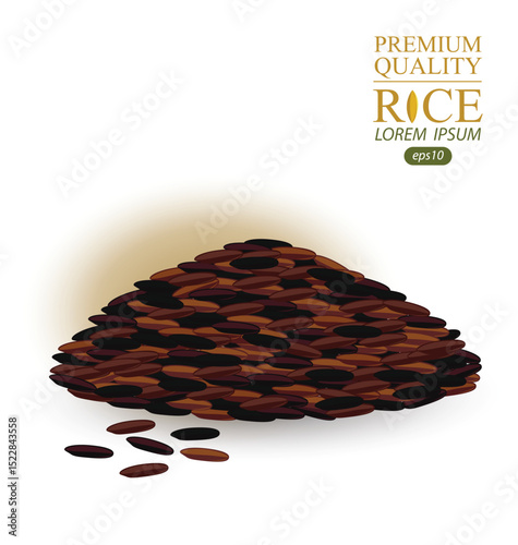 Rice grains isolated on white background. Vector illustration.