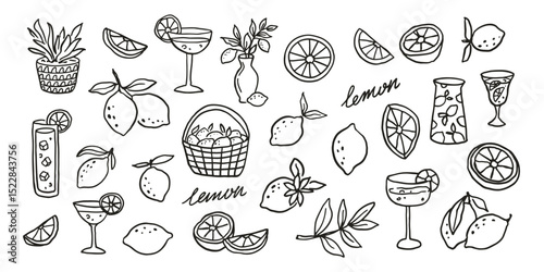 Lemon fruit related doodle sketch collection vector illustration. Summer modern graphic elements set.