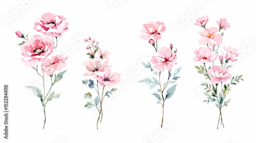 Wild flowers set, watercolor digital illustration.

