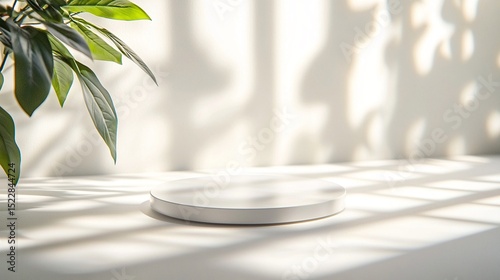 White Round Platform With Soft Ambient Shadow and Greenery